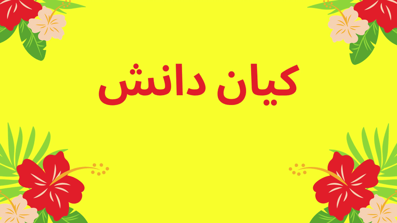 تخفیف تا 50%